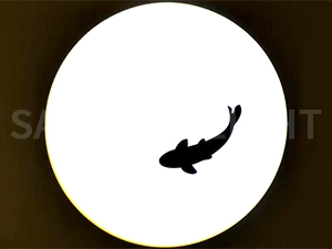 LED�����饤�ȱ߾ȼ�331