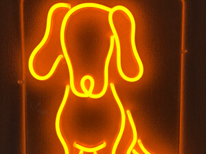 LEDネオン看板（ネオンサイン）アクリル板通常タイプ製作事例 dog 黄色