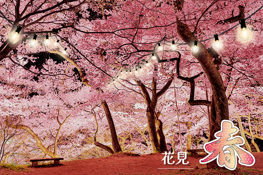 電球型デコレーションライトを桜に付けて花見を彩る